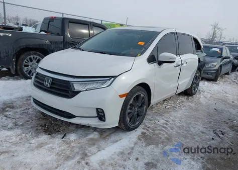 2023 Honda Odyssey Elite z USA, uszkodzony, nr VIN 5FNRL6H96PB013755